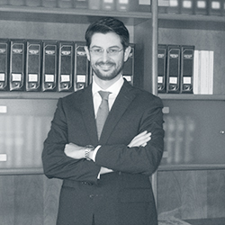 Michele Bertolin